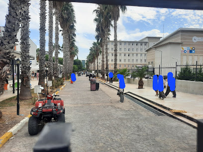 Mediterranean Dormitory Yerel İşletme fotoğrafı 1