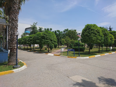 Mediterranean Dormitory Yerel İşletme fotoğrafı 5